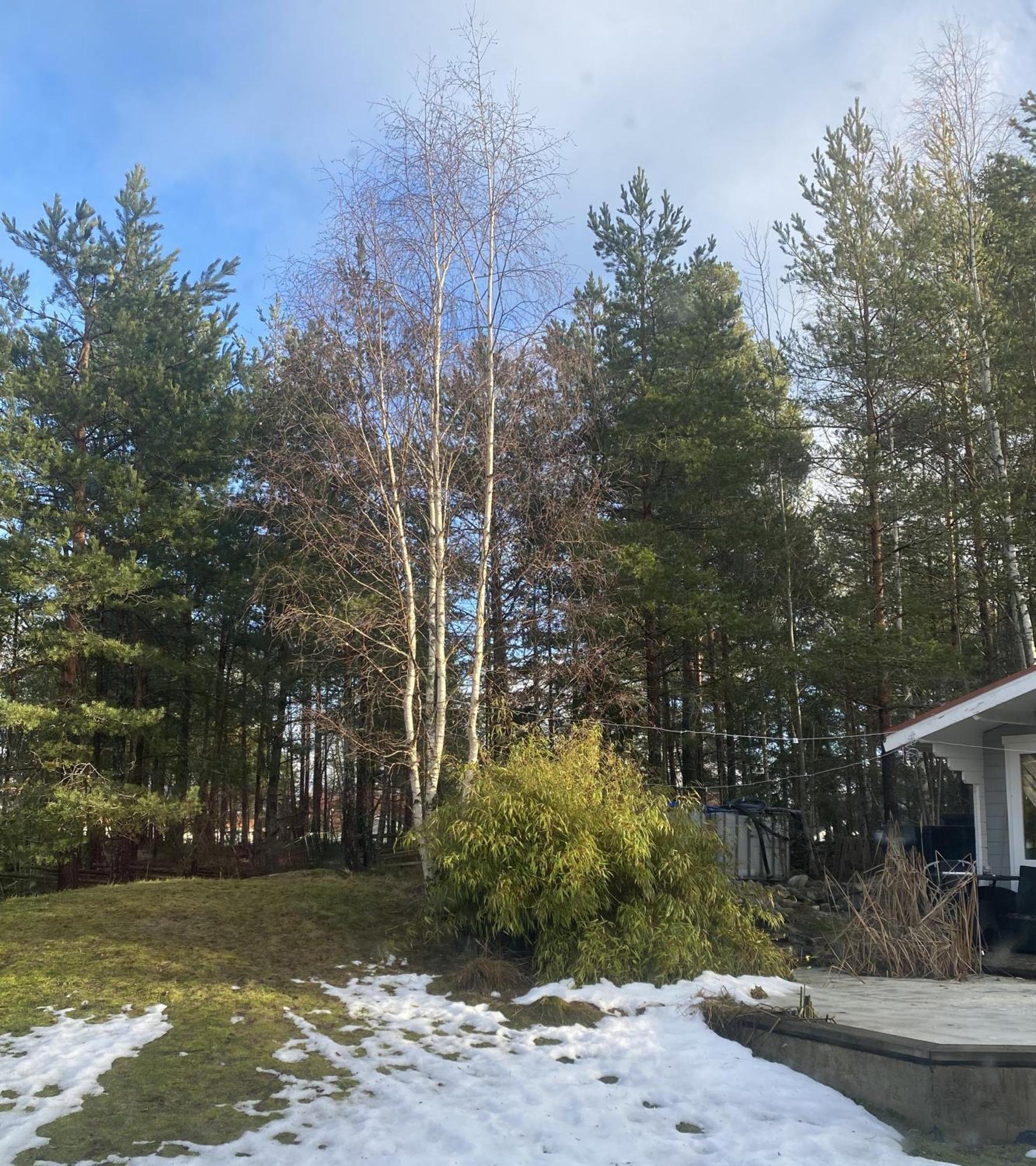 Dr Asa Hostel In Kallfors, Jaerna, South Stockholm, Near Golf, Ytterjaerna Concerts & The Baltic Sea Beach Екстер'єр фото